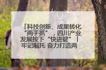 科技创新、成果转化“两手抓”，四川产业发展按下“快进键”丨牢记嘱托 奋力打造两高地两基地一屏障