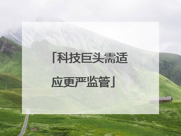 科技巨头需适应更严监管