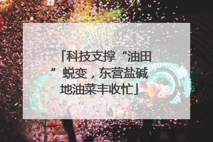 科技支撑“油田”蜕变，东营盐碱地油菜丰收忙