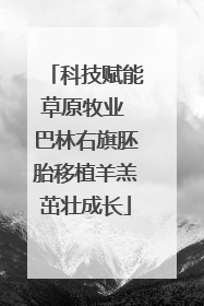 科技赋能草原牧业 巴林右旗胚胎移植羊羔茁壮成长