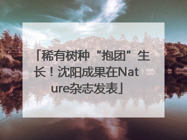 稀有树种“抱团”生长！沈阳成果在Nature杂志发表