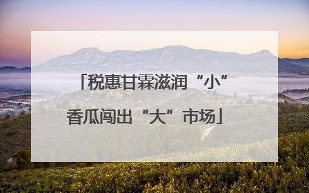 税惠甘霖滋润“小”香瓜闯出“大”市场