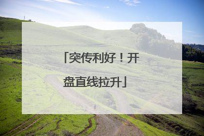 突传利好！开盘直线拉升