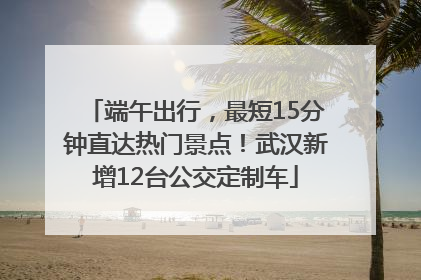 端午出行，最短15分钟直达热门景点！武汉新增12台公交定制车