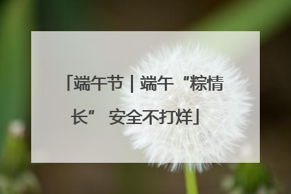 端午节｜端午“粽情长” 安全不打烊