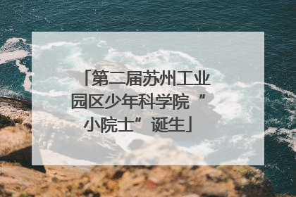 第二届苏州工业园区少年科学院“小院士”诞生
