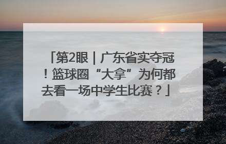 第2眼｜广东省实夺冠！篮球圈“大拿”为何都去看一场中学生比赛？
