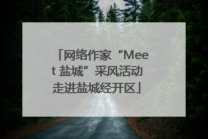 网络作家“Meet 盐城”采风活动走进盐城经开区