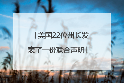 美国22位州长发表了一份联合声明