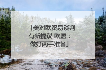 美对欧贸易谈判有新提议 欧盟：做好两手准备