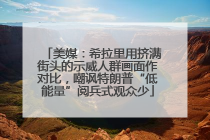 美媒：希拉里用挤满街头的示威人群画面作对比，嘲讽特朗普“低能量”阅兵式观众少