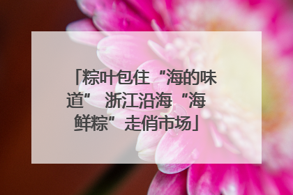 粽叶包住“海的味道” 浙江沿海“海鲜粽”走俏市场