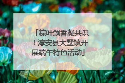 粽叶飘香凝共识！淳安县大墅镇开展端午特色活动