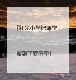 红光小学把课堂搬到了麦田里