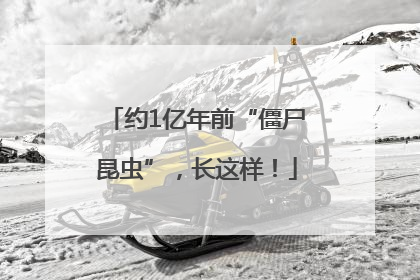 约1亿年前“僵尸昆虫”，长这样！