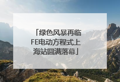 绿色风暴再临 FE电动方程式上海站圆满落幕