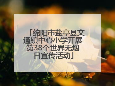 绵阳市盐亭县文通镇中心小学开展第38个世界无烟日宣传活动