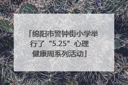 绵阳市警钟街小学举行了“5.25”心理健康周系列活动