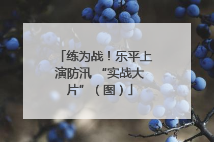 练为战！乐平上演防汛 “实战大片”（图）