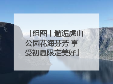 组图丨邂逅虎山公园花海芬芳 享受初夏限定美好