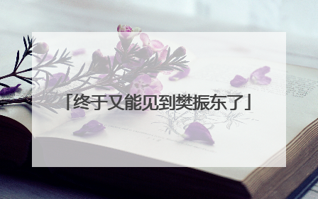 终于又能见到樊振东了