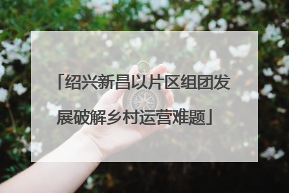 绍兴新昌以片区组团发展破解乡村运营难题