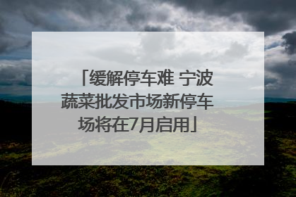 缓解停车难 宁波蔬菜批发市场新停车场将在7月启用