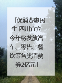 促消费惠民生 四川宜宾今年将发放汽车、零售、餐饮等各类消费券2亿元