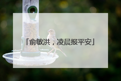 俞敏洪，凌晨报平安