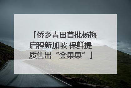 侨乡青田首批杨梅启程新加坡 保鲜提质售出“金果果”