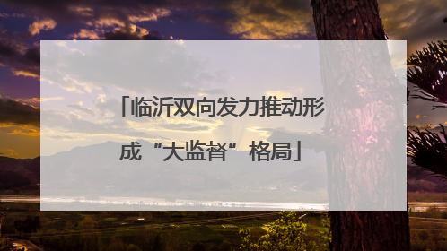 临沂双向发力推动形成“大监督”格局