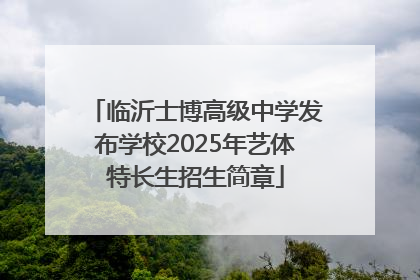 临沂士博高级中学发布学校2025年艺体特长生招生简章