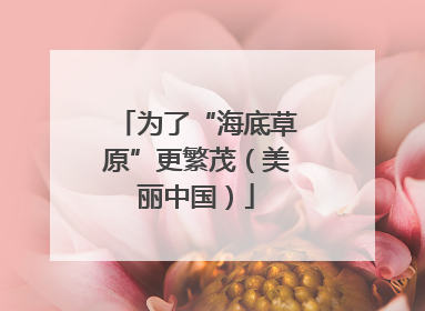 为了“海底草原”更繁茂（美丽中国）