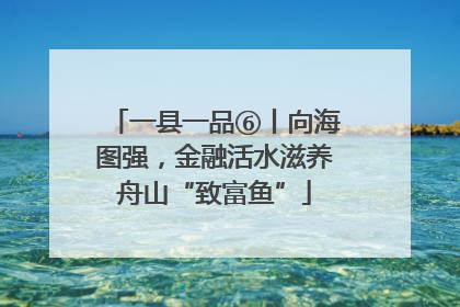 一县一品⑥丨向海图强，金融活水滋养舟山“致富鱼”