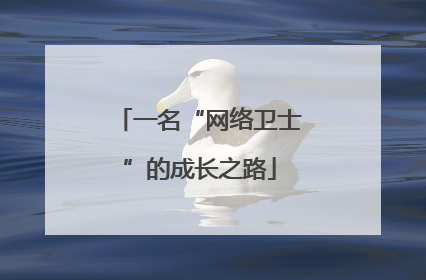 一名“网络卫士”的成长之路