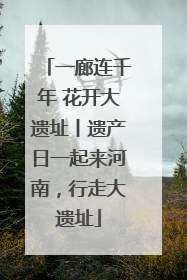 一廊连千年 花开大遗址丨遗产日一起来河南，行走大遗址