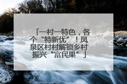 一村一特色，各个“特新优”！凤泉区村村解锁乡村振兴“富民果”