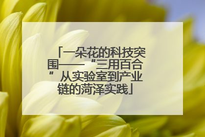一朵花的科技突围——“三用百合”从实验室到产业链的菏泽实践