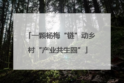 一颗杨梅“链”动乡村“产业共生圈”