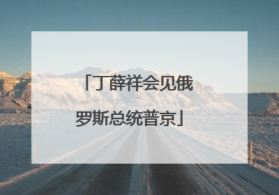 丁薛祥会见俄罗斯总统普京