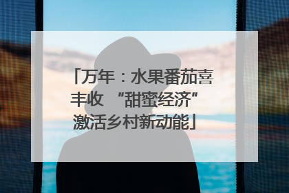 万年：水果番茄喜丰收 “甜蜜经济”激活乡村新动能