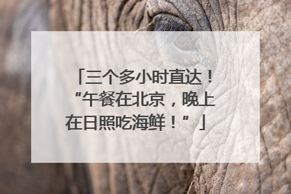 三个多小时直达！“午餐在北京，晚上在日照吃海鲜！”