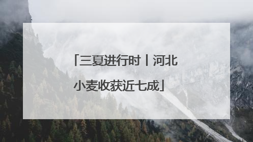 三夏进行时丨河北小麦收获近七成