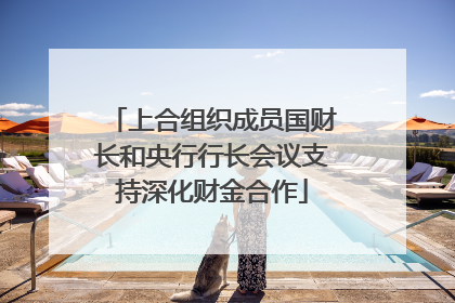 上合组织成员国财长和央行行长会议支持深化财金合作