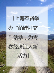 上海奉贤举办“萌娃社交”活动，为青春经济注入新活力