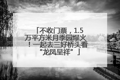 不收门票，1.5万平方米月季园爆火！一起去三好桥头看“龙凤呈祥”