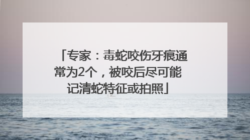 专家：毒蛇咬伤牙痕通常为2个，被咬后尽可能记清蛇特征或拍照