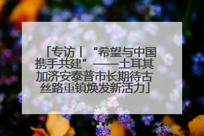 专访丨“希望与中国携手共建”——土耳其加济安泰普市长期待古丝路重镇焕发新活力