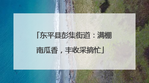 东平县彭集街道：满棚南瓜香，丰收采摘忙