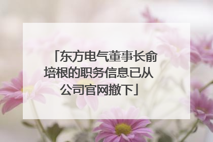 东方电气董事长俞培根的职务信息已从公司官网撤下